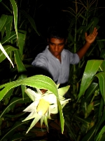 Rajeev Rajendran