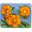 Three Orange Flowers
